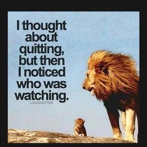 Meet your Posher, Liz